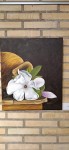 2023-12-Tauste-Magnolia