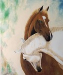 Caballos