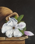 Magnolia