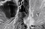 ALGA