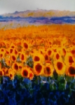 GIRASOLES